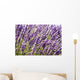 Lavender Wall Decal Design 1
