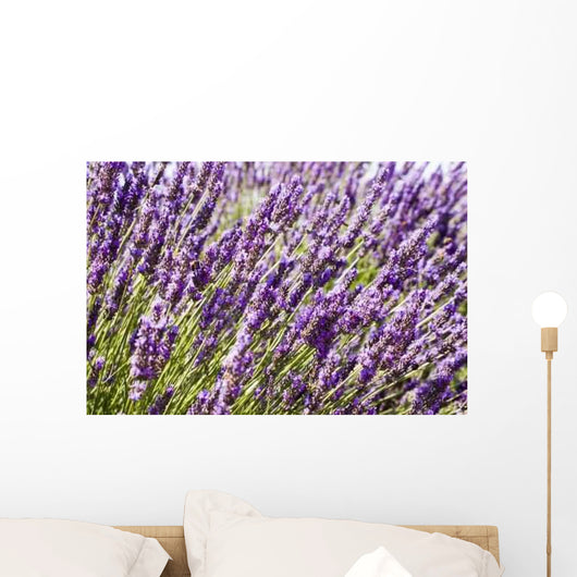 Lavender Wall Decal Design 1