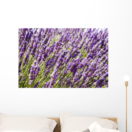 Lavender Wall Decal Design 1