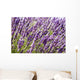 Lavender Wall Decal Design 1