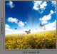 Yellow Field with Butterfly Wall Decal