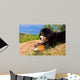 Bernese Mountain Dog Wall Decal