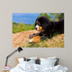 Bernese Mountain Dog Wall Decal