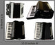 Accordiones Wall Decal