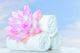 Spa Massage Wall Decal