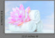 Spa Massage Wall Decal