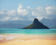 Hawaii Wall Decal
