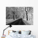 Black and White Winter Wall Decal
