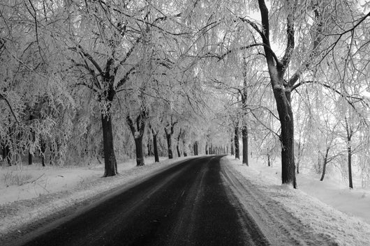 Black and White Winter Wall Decal