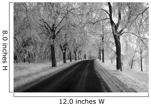 Black and White Winter Wall Decal