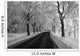 Black and White Winter Wall Decal