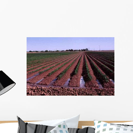 Irrigation Wall Decal