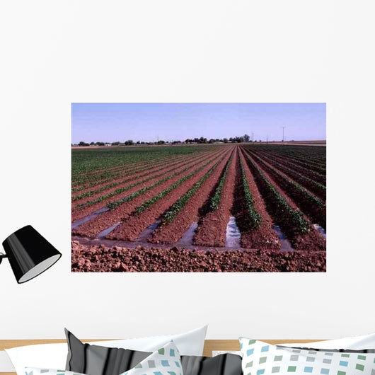 Irrigation Wall Decal