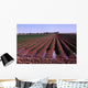 Irrigation Wall Decal