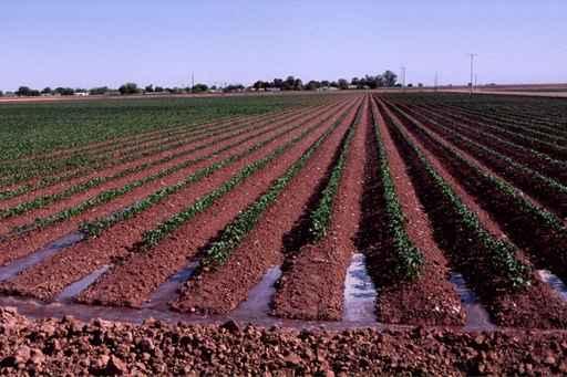 Irrigation Wall Decal