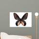 Black Butterfly Atrophaneura Dixoni Wall Decal