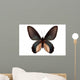 Black Butterfly Atrophaneura Dixoni Wall Decal