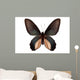 Black Butterfly Atrophaneura Dixoni Wall Decal