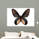 Black Butterfly Atrophaneura Dixoni Wall Decal