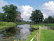 Fluss im Gr Nen Wall Decal