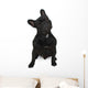 Dog Surprised Wall Decal