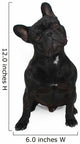 Dog Surprised Wall Decal