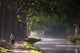 Au Bord Du Canal Wall Decal Design 1