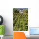 Dans La Vigne Wall Decal