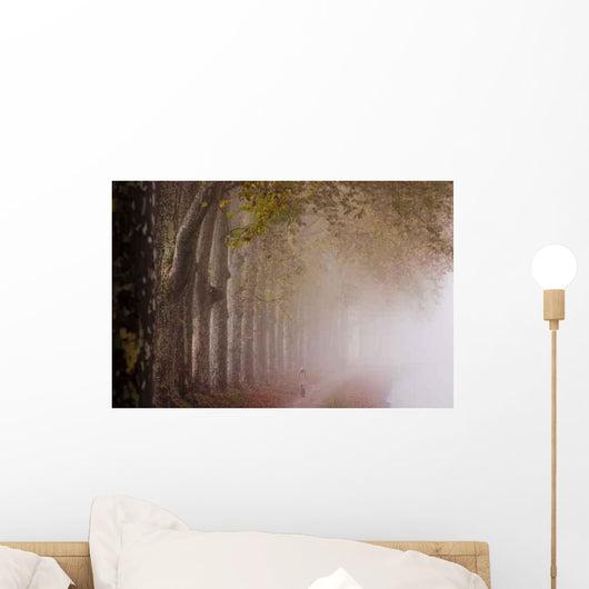 Brume Sur Le Canal Wall Decal