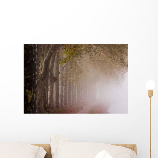 Brume Sur Le Canal Wall Decal