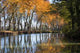 Canal Du Midi Wall Decal