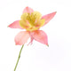 Pink and Yellow Columbine Wall Decal