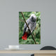 African Grey Wall Decal
