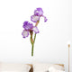 Stem Purple Iris Flowers Wall Decal