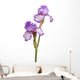 Stem Purple Iris Flowers Wall Decal