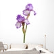 Stem Purple Iris Flowers Wall Decal