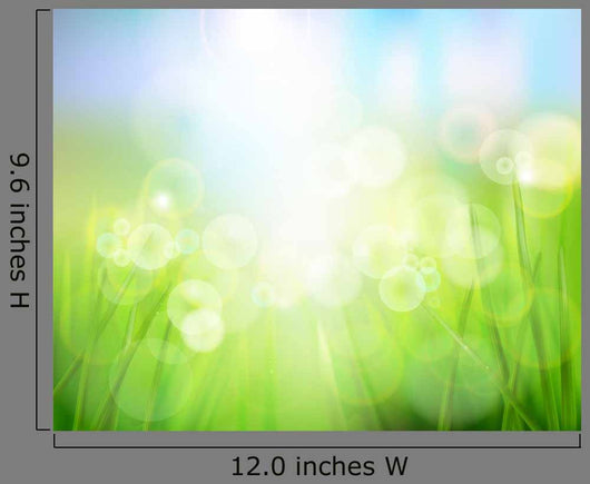 Nature Background Vector Illustration Wall Decal