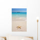 Starfish Beach Wall Decal Design 1