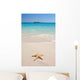 Starfish Beach Wall Decal Design 1