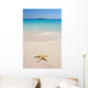 Starfish Beach Wall Decal Design 1