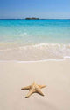 Starfish Beach Wall Decal Design 1
