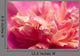 Peony Macro Wall Decal