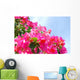 Bougainvillea  Wall Decal