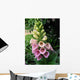 Green Plant Wall Decal