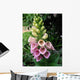 Green Plant Wall Decal