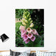 Green Plant Wall Decal