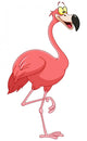 Flamingo Wall Decal
