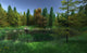 Small Woodland Lake with Wall Decal