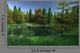 Small Woodland Lake with Wall Decal