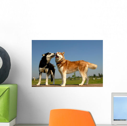 Huskys Amoureux Wall Decal
